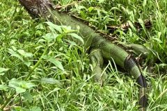 IMG_0435-scaled