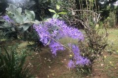 IMG_0965-scaled