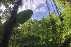 IMG_4610-scaled