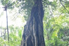 IMG_4863-scaled